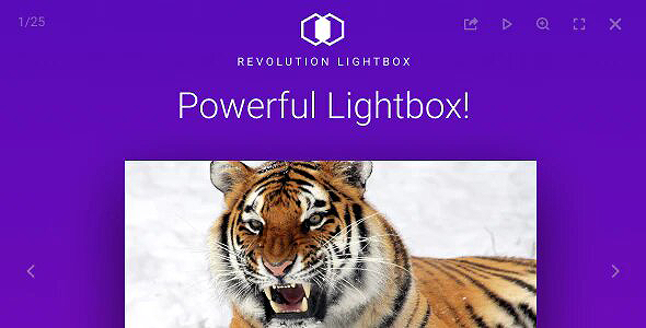 Revolution Lightbox Carousel