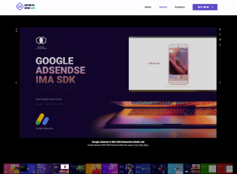 Google Adsense & IMA SDK/Interactive Media Ads