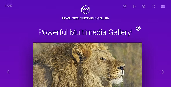 Revolution Multimedia Gallery Wordpress Plugin